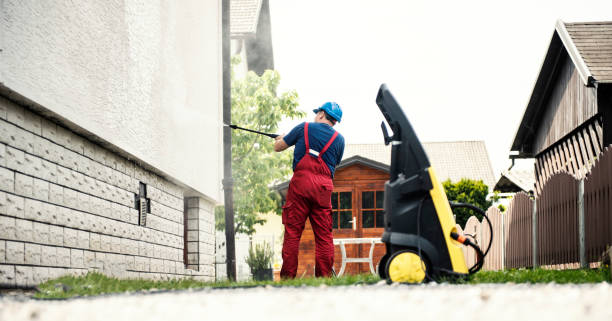 Best Graffiti Removal  in Spring Park, MN